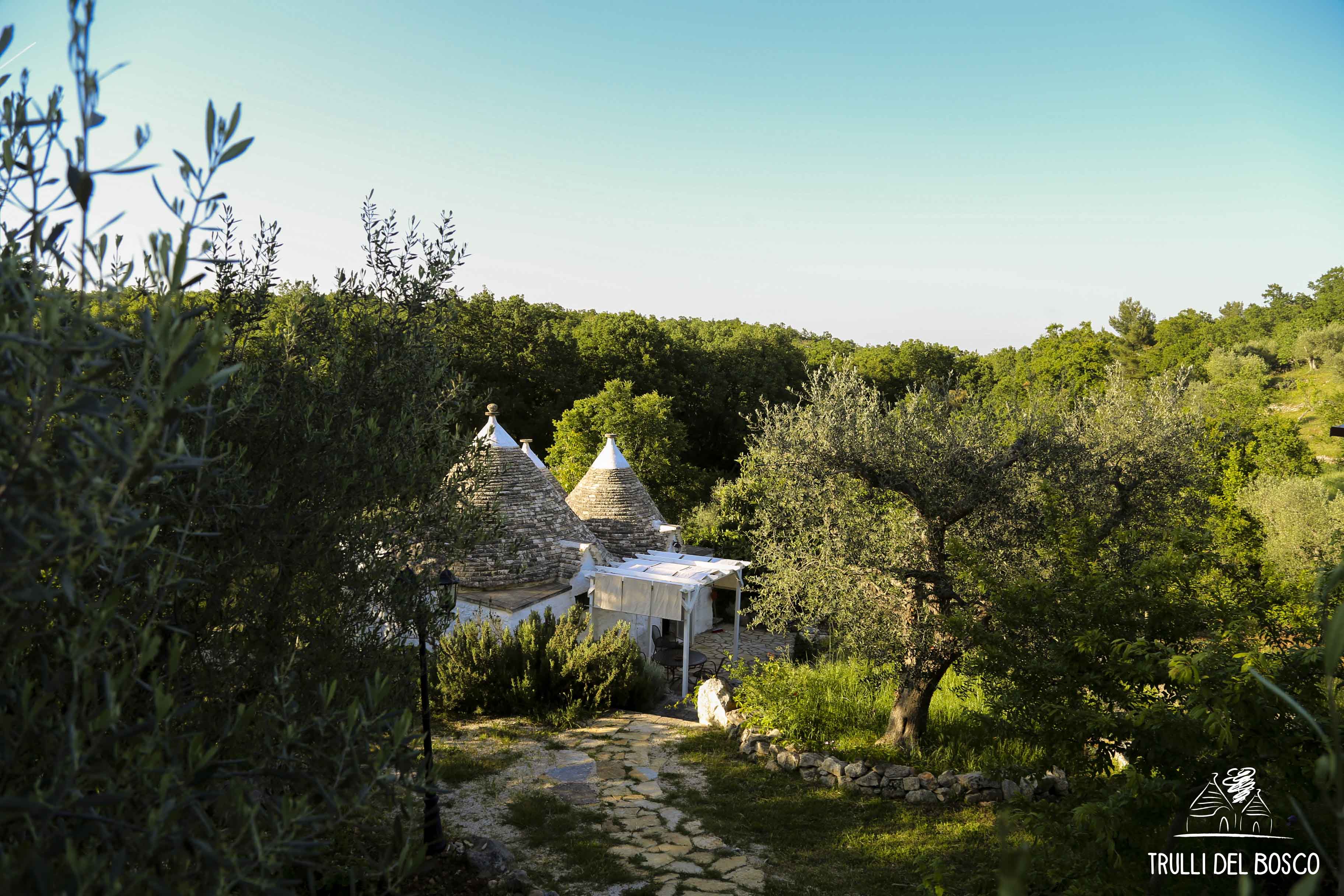 64. trulli del bosco jpg pic - Trulli Italian School